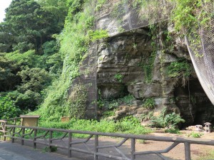 観音崎の洞窟