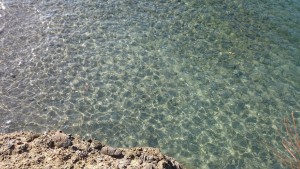 田子瀬浜の水は綺麗