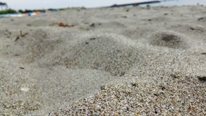 一色海岸の砂浜