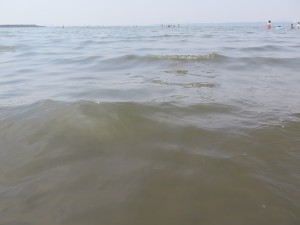 葛西臨海公園の海水